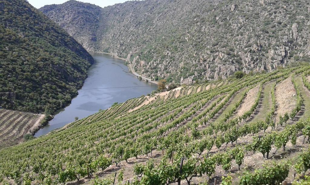 Vila Vistadouro Peso da Régua Exteriér fotografie