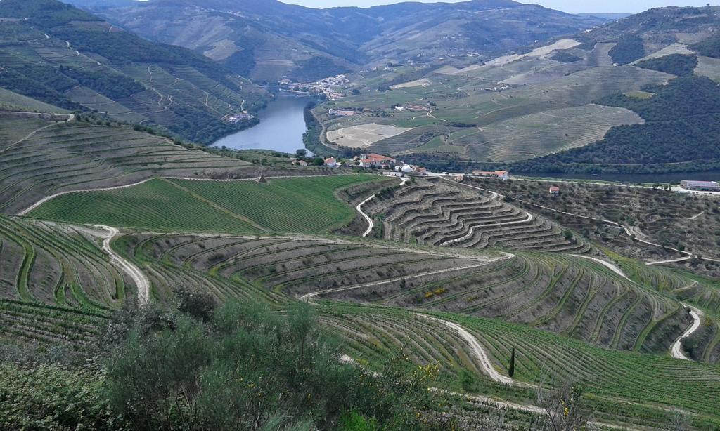 Vila Vistadouro Peso da Régua Exteriér fotografie